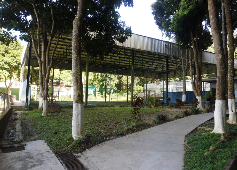 Piqui Academy. Alto desempeño en deportes de raqueta. Clases de Padel en El Hatillo. Clases de Pickleball en El Hatillo. Clases de Tenis en El Hatillo.